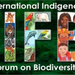 International Indigenous Forum on Biodiversity