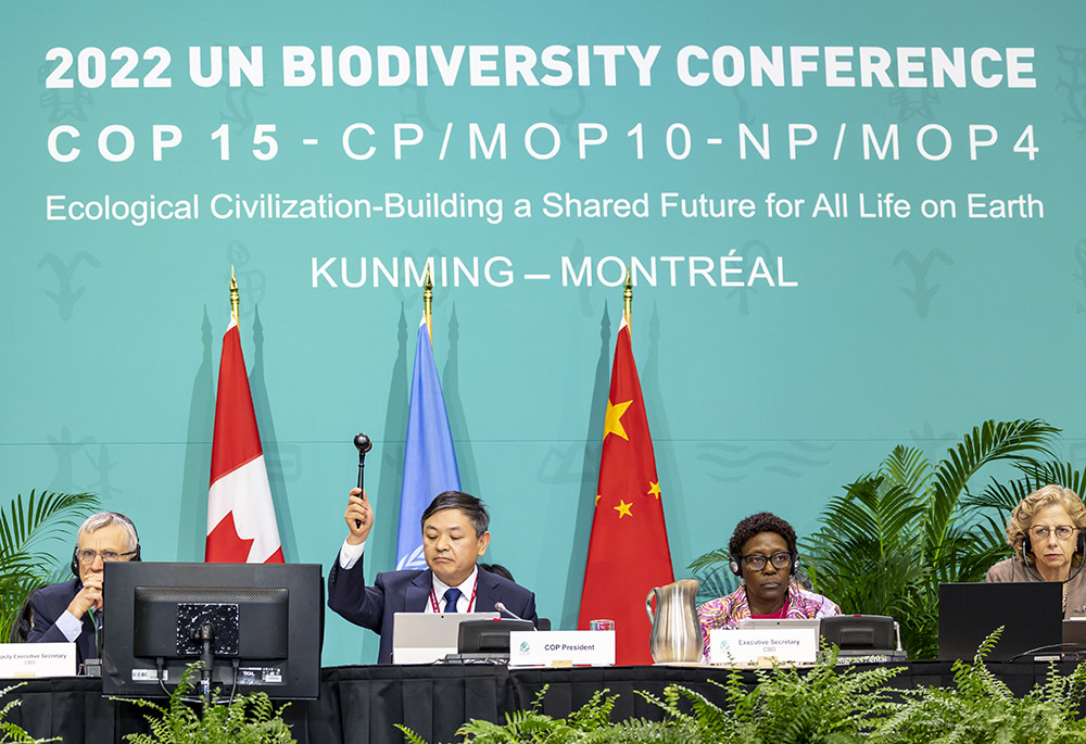 Kunming-Montreal Agreement 