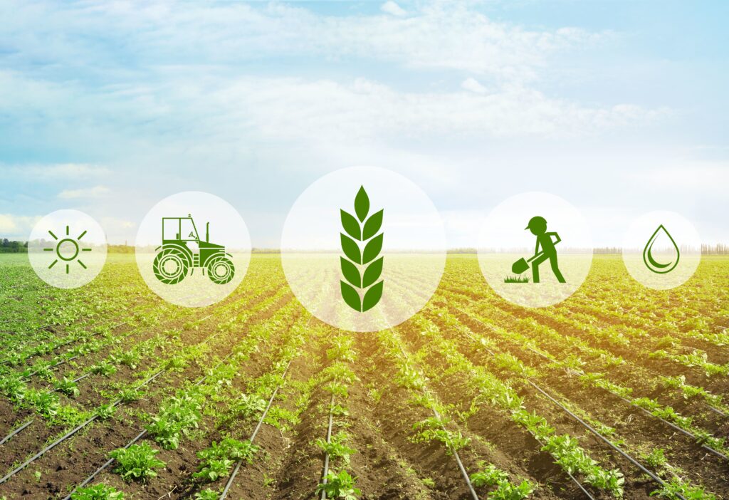 Climate-Smart Agriculture