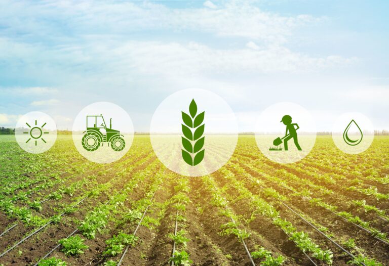 Climate-Smart Agriculture
