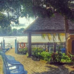 BCIS Garden