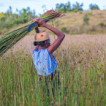 Adapting Coastal Zone Management to Climate Change in Madagascar