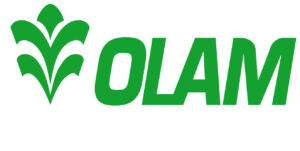 Olam 2